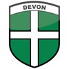 Pack of 2 Devon County Flags - Static Cling Vinyl