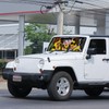 DaisyInner Windshield Sun Shade Compatible with Jeep Jk Jku Jl