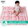 Bernat Baby Blanket Dappled Wandering Blue Yarn - 2 Pack