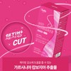 Newly 슬림한 다이어트 유산균 모유유산균 가르시니아 체지방 감소 장건강