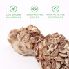 fourfive Multi Mushroom Gummies (10000mg) Ultimate Blend with Reishi, Lion's