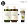 Eco Glam [Eco Glam] Scalp Shampoo + Hair Essence (Select 1) - Citrus+Hair Essence / [에코글램] 스칼프샴푸+헤어에센스(택1) - 시트러스+헤어에센스