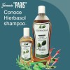 Shampoo Hierbasol De Origen Natural 1 Litreo