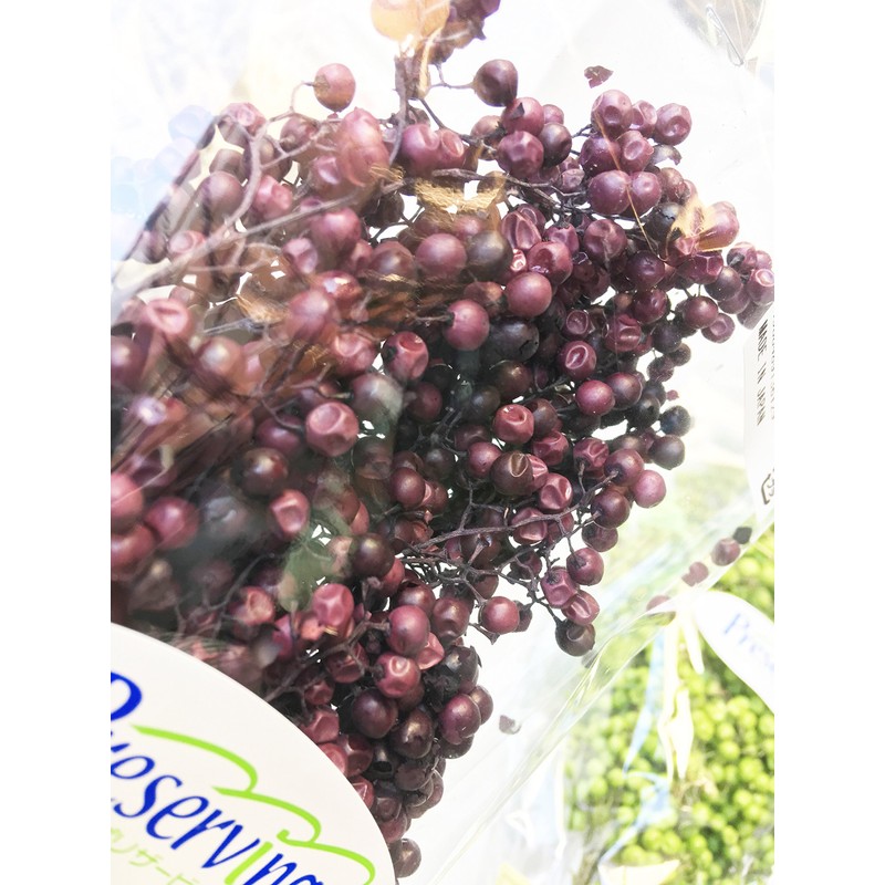 Daichi Farm DO003380-400 Preserved Flowers, Pepperberry Preserved, Purple, Approx. L