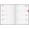 rido/idé Pocket Calendar Mod. perfect/Technik I 2026 | A6, Plastic,