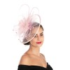 Sinamay Flower Feather Headband Fascinator Wedding Headwear Ladies Race Royal