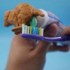 Funny Golden Retriever Puppy Poop Toothpaste Dispenser, Dog Toothpaste Topper,