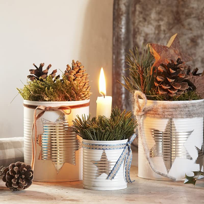 100PCS Christmas Pine Cones Natural Pine Cones 2-3cm Rustic Pine