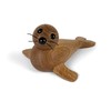 Spring Copenhagen Female Seal | Seal Mother | Chresten Summer