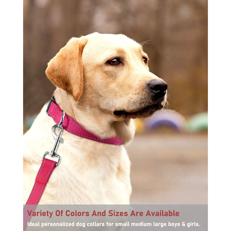 Reflective Dog Collar with Buckle Adjustable Safety Nylon Collars for