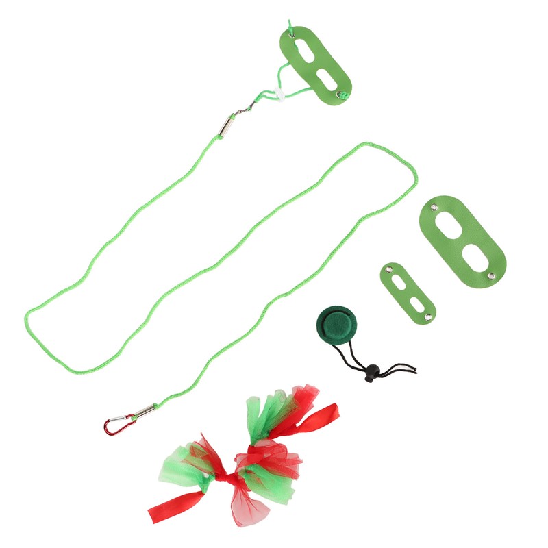 Reptile Pet Leash Kit Christmas Reptile Harness with Skirts Hat