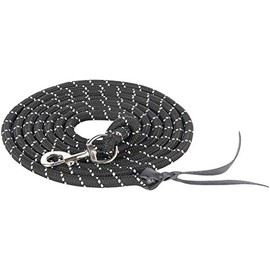 Harry's Horse Ground Work Rope with Carabiner 4 m, Colour: Black