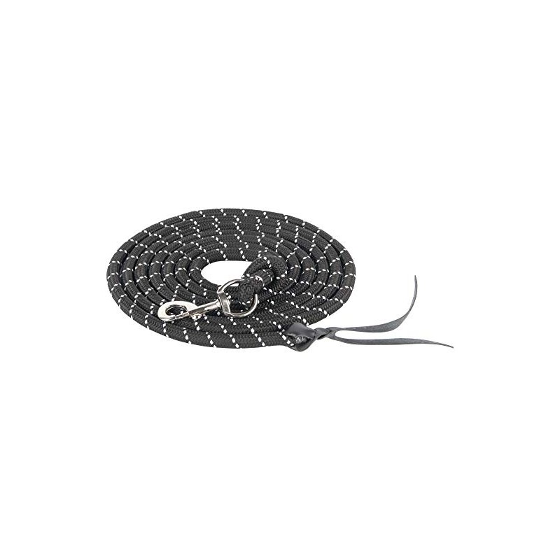 Harry's Horse Ground Work Rope with Carabiner 4 m, Colour: