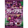 KASUGAI Fruit Gum with Grape Flavour - 1 x 107