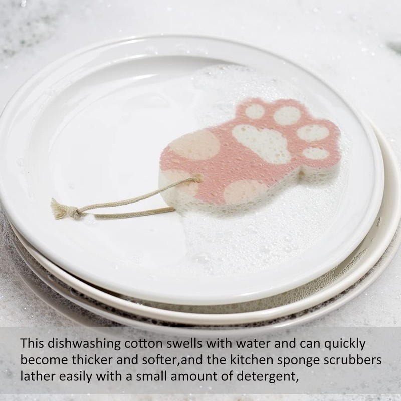 Ctpeng Kitchen Reusable Dish Cleaning Sponge Scrub Set of 2