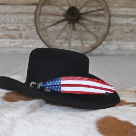 Willow Lane Hat Co. American Flag Painted Turkey Hat Feather