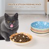 Ceramic Cat Food Bowl Set - Wide Shallow Cat Bowl