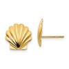 Solid 14k Yellow Gold Shell Post Studs Earrings (10mm x