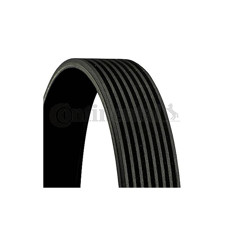 Contitech V-Ribbed Belt 8PK1230