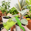 Leaf Cleaning Tongs with 2 Removable Sleeves and 1 Dusting