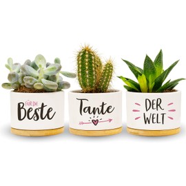 Darlena Beste Tante der Welt | Aunt Gift, Birthday Gift | Herb Garden Gifts for Aunt for Birthday, Mother's Day or Christmas | Flower Pots for Planting