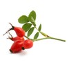 MakingCosmetics.com Rose Hip Oil - 4.2fl oz / 125ml