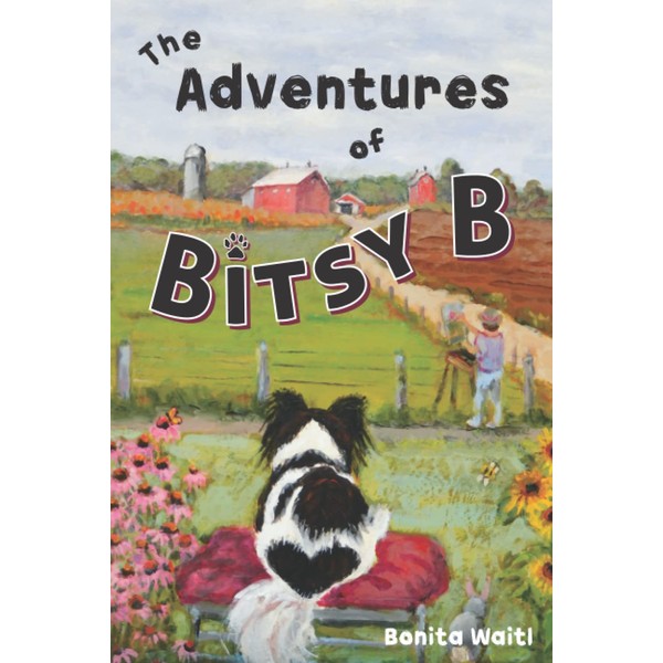 The Adventures of Bitsy B