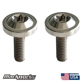 Blackworks Racing 2 TITANIUM SILVER LICENSE PLATE TAG ANTI THEFT SECURITY BOLTS TORX SCREWS M6X1.0