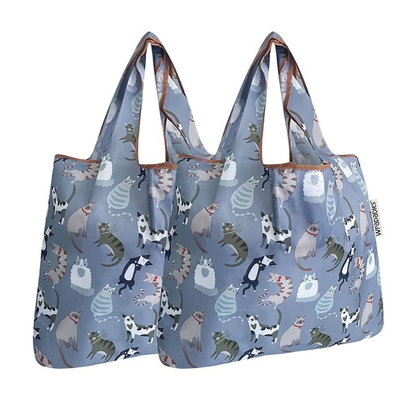 allydrew Foldable Tote Nylon Reusable Grocery Bag (Set of 2),