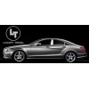 Luxury Trims Mercedes CLS W218 Stainless Chrome Pillar Posts by