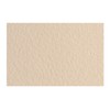 Honsell 21297140 - Fabriano Tiziano Pastel Paper Avorio, DIN A4,