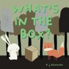 What's in the box?: A children's book about imagination and