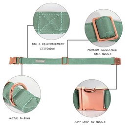 Lionet Paws Bowtie Dog Collar - Comfortable Silk Dog Collar with Detachable Bow Tie for Medium Dogs, Neck 34-55cm