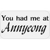 You Had Me at Annyeong - 100 Stickers Pack 2.25