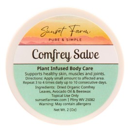Comfrey Salve Herbal Balm Skin Body Care Ointment 2 oz
