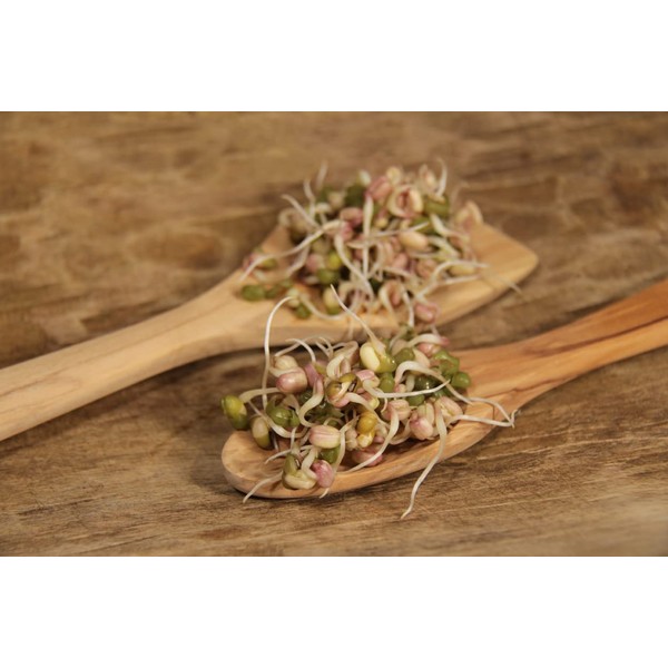 100 g Organic Mung Bean Seeds for Sprouts, Sproutings, Various