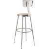 NPS 24" Adjustable Height Steel Stool with Backrest, Grey