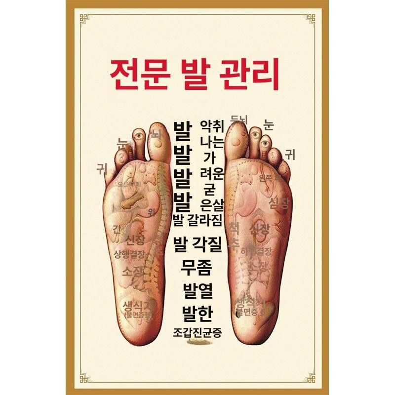 지압판 발바닥 마사지 지압매트 수지침 발지압매트 접이식 Acupressure Foot Massager