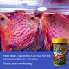 AQUAVITHA Discus Fish Bits Food (1.5 Oz), Balanced Diet, Support