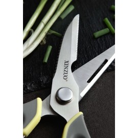 Xinzuo Multi-Function