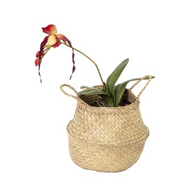 Compactor Small Woven Seagrass Belly Storage Basket 27 x 27 x 26 cm, Natural