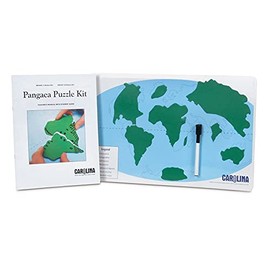 Pangaea Puzzle Kit [Toy]