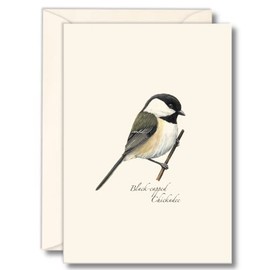 Earth Sky + Water - Black-capped Chickadee Notecard Set - 8 Blank Cards with Envelopes