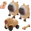 Capybara Squeeze Toys, Pack of 3 Capybara Anti-Stress Squeeze Toy,