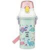 Skater PSB5SANAG-A Rainbow Water Bottle, 16.9 fl oz (480 ml),
