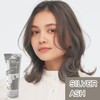 COLORR GENERATION SILVER ASH 7.1 oz (200 g) Transparent Silver