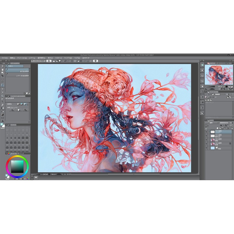 CLIP STUDIO TABMATE