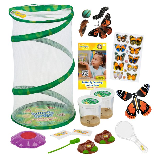 Mini Butterfly Garden Gift Set Two Live Cups of Caterpillars – Dual Lens Magnifier – Butterfly Life Cycle Stages