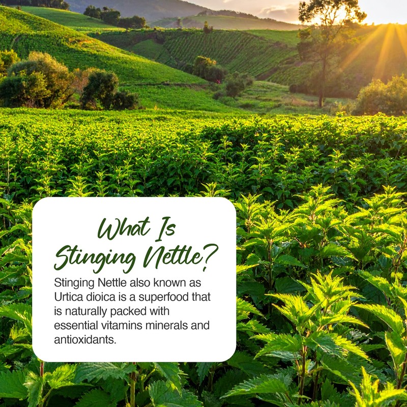 Zipvit Stinging Nettle 600mg, 200mg Per Tablet, 90 High Strength