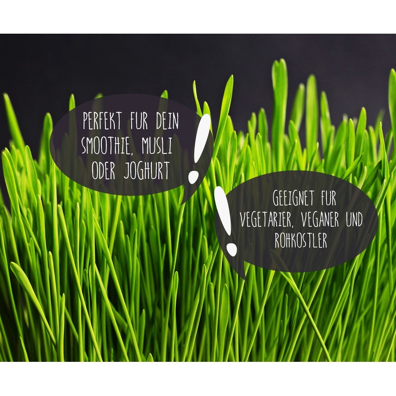 Achterhof Wheatgrass Powder Organic (1 kg) Wheatgrass Powder from German